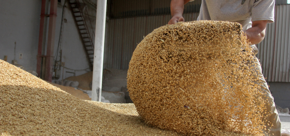 Summer Feed Storage – What You Need to Know