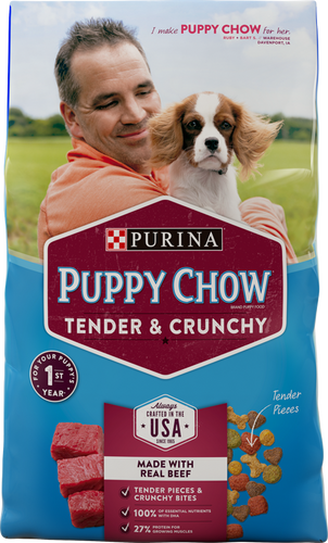 Purina Puppy Chow Tender and Crunchy Beef Recipe Dry Dog Food