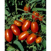 Southern States Seed Division Roma Tomato 1/4 oz (1/4 oz)