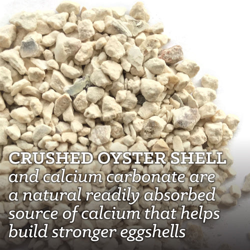 Nutrena® NatureWise® Oyster Shell (7 lb)