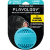 Playology Dental Chew Ball Dog Toy