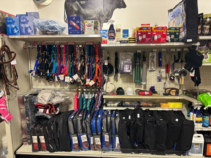 Store shelf filled with equestrian gear, including colorful horse halters, grooming tools, and cleaning supplies. Shelves organized, vibrant, and utilitarian.