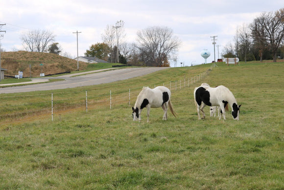 Geotek SunGUARD® II Fence Posts Fiberglass Fence Posts for Electric Fence Systems (3/8