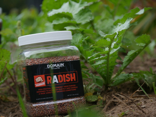 Domain Outdoor Pounder Radish (1 lb. 1/6 acre)