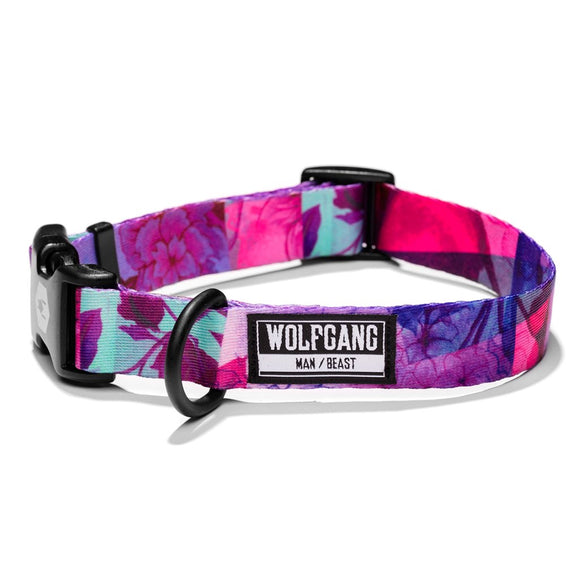Wolfgang Man & Beast DayDream DOG COLLAR (Large (Width 1-in. Length 18-26-in.))
