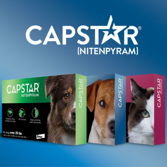 Capstar for Dogs & Cats (>25 Lb.)