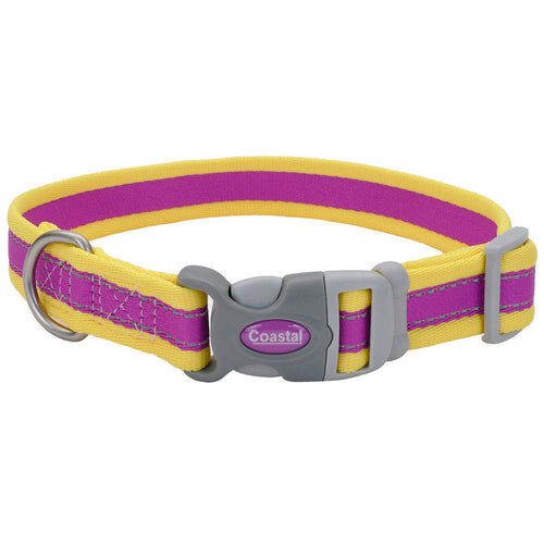 Coastal Pet Pro Reflective Adjustable Dog Collar (Fuscia with Teal 14-20 x 1)