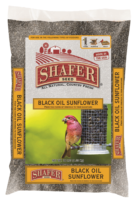 Shafer Seed Black Oil Sunflower Seed 40 lb (40 lb)