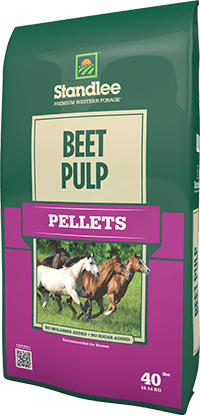 Premium Beet Pulp Pellets (40 lb)