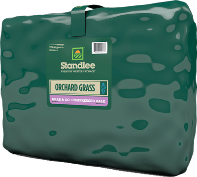 Standlee Premium Orchard Grass Grab & Go® Compressed Bales (50 Lb)