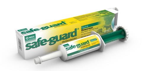 Merck & Co., Inc. Safe-Guard® Paste 25-gm (25-gm)
