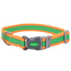 Coastal Pet Pro Reflective Adjustable Dog Collar (Fuscia with Teal 14-20 x 1)