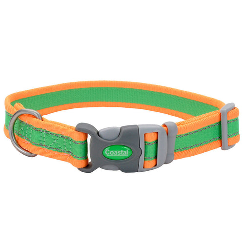 Coastal Pet Pro Reflective Adjustable Dog Collar (Fuscia with Teal 14