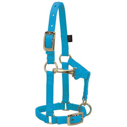 Weaver Leather Miniature Horse Adjustable Chin & Throat Snap Halter (Average 5/8 Blue)