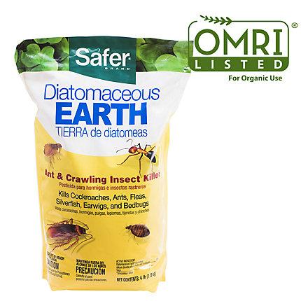 SAFER® BRAND DIATOMACEOUS EARTH - BED BUG, FLEA, ANT, CRAWLING INSECT KILLER 4 LB OMRI LISTED® FOR ORGANIC USE, 4-Pound