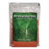 Orchardgrass