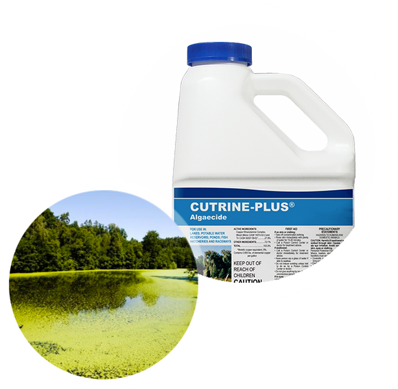 Applied Biochemists Cutrine Plus Aquatic Algaecide Pest Control 2.5 Gal